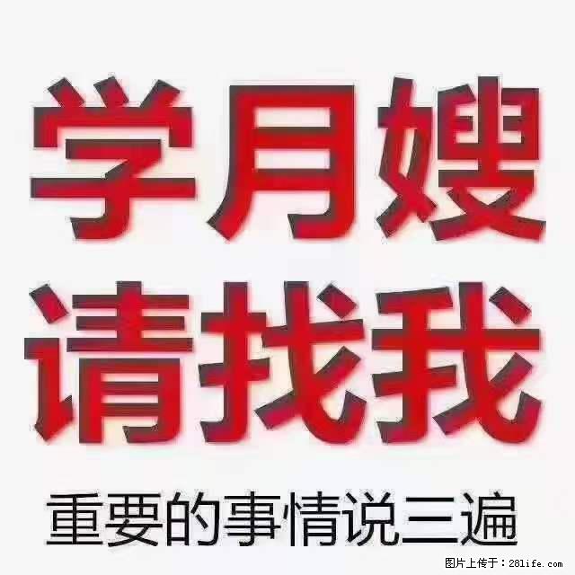 为什么要学习月嫂,育婴师? - 其他广告 - 广告专区 - 酒泉分类信息 - 酒泉28生活网 jq.28life.com