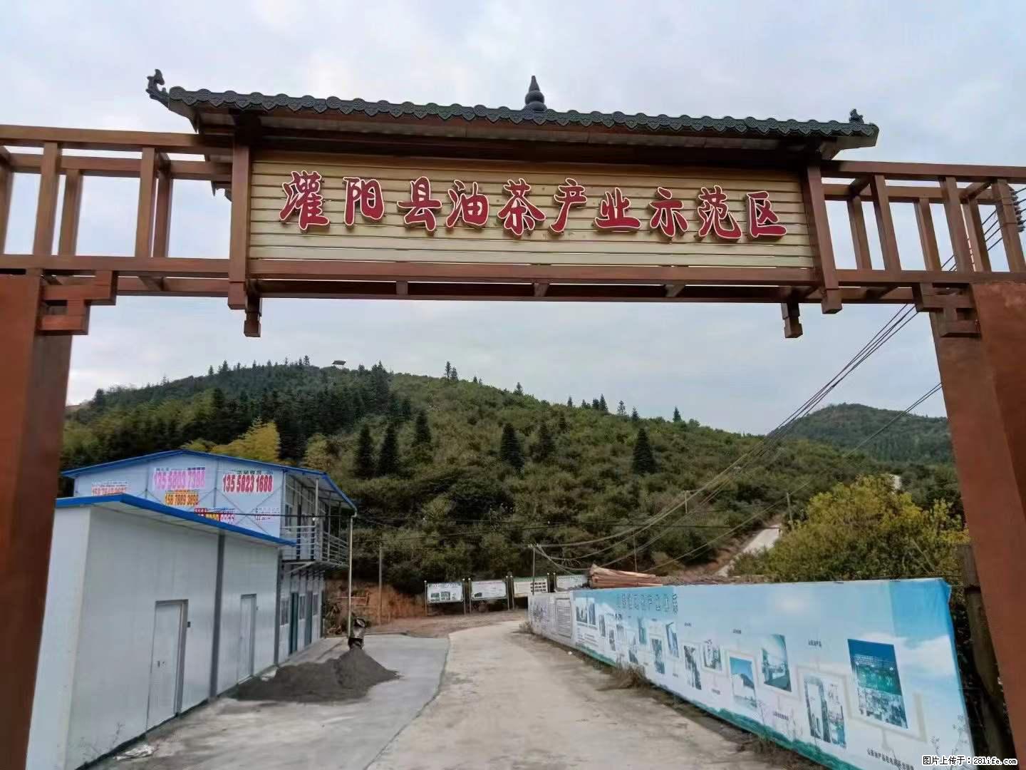 【灌阳县油茶产业示范区】一个有着充实的精神生活的人,对待身外之物自会有一种淡泊的态度 - 美食天地 - 酒泉生活社区 - 酒泉28生活网 jq.28life.com