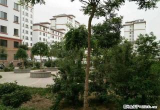 康盛花园1楼带花园带全套家具家电 - 酒泉28生活网 jq.28life.com