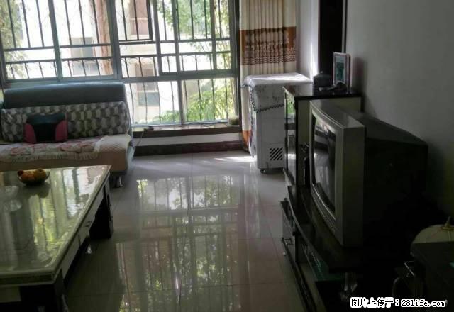 小区环境优越,周边靠近学校医院购物方便 - 房屋出租 - 房屋租售 - 酒泉分类信息 - 酒泉28生活网 jq.28life.com