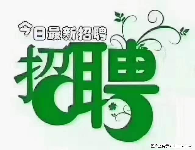 【招聘摄像师】待遇:试用期6000元/月,转正7000元/月+五险一金+餐补+节日福利+奖金 - 职场交流 - 酒泉生活社区 - 酒泉28生活网 jq.28life.com