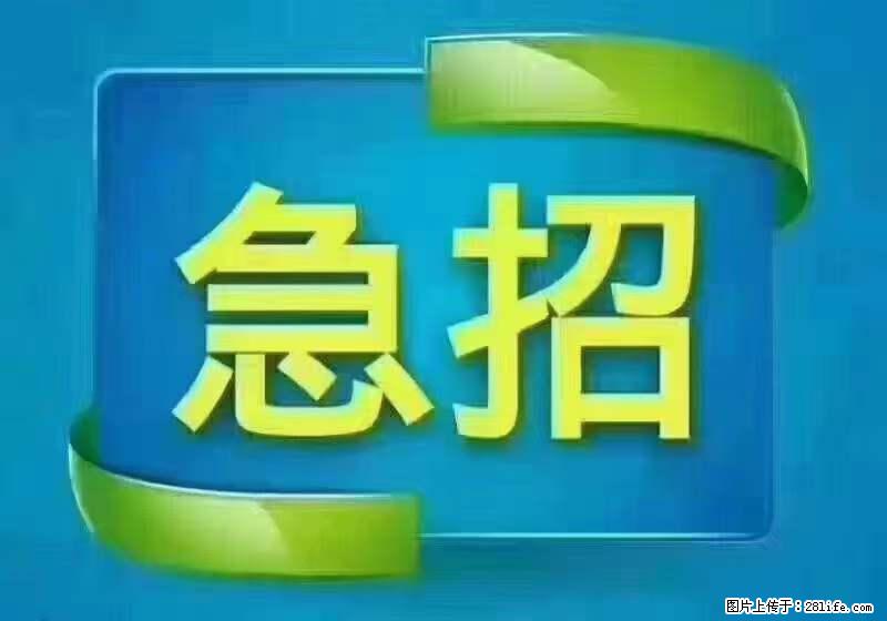 招出纳8000元/月,无证可以,要有相关经验,上海五险一金,包住,包工作餐,做六休一。 - 职场交流 - 酒泉生活社区 - 酒泉28生活网 jq.28life.com