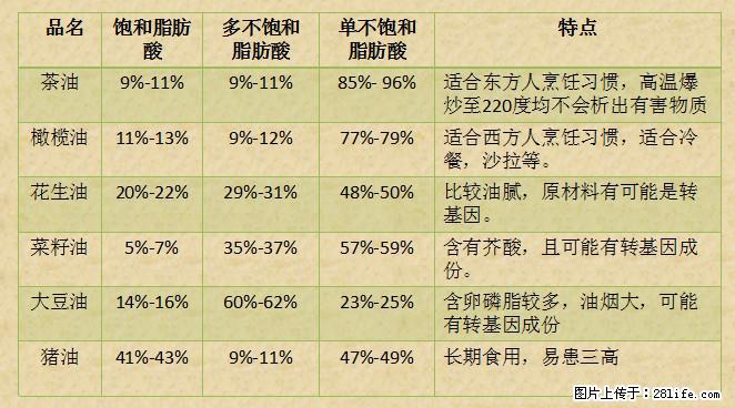 揭秘茶油的5大核心营养成分!被称为人体健康的“守护盾”! - 酒泉生活资讯 - 酒泉28生活网 jq.28life.com