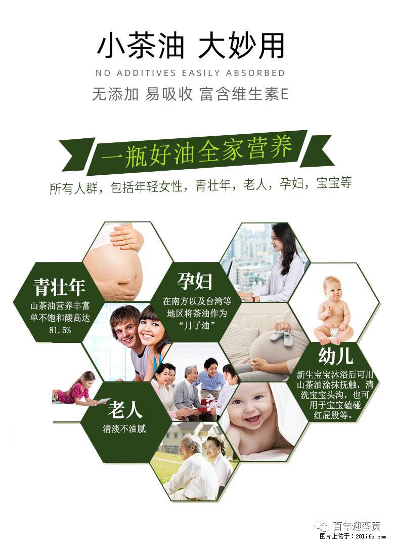 世界没有真相,只有认知,最好的食用油是中国的山茶油! - 酒泉生活资讯 - 酒泉28生活网 jq.28life.com
