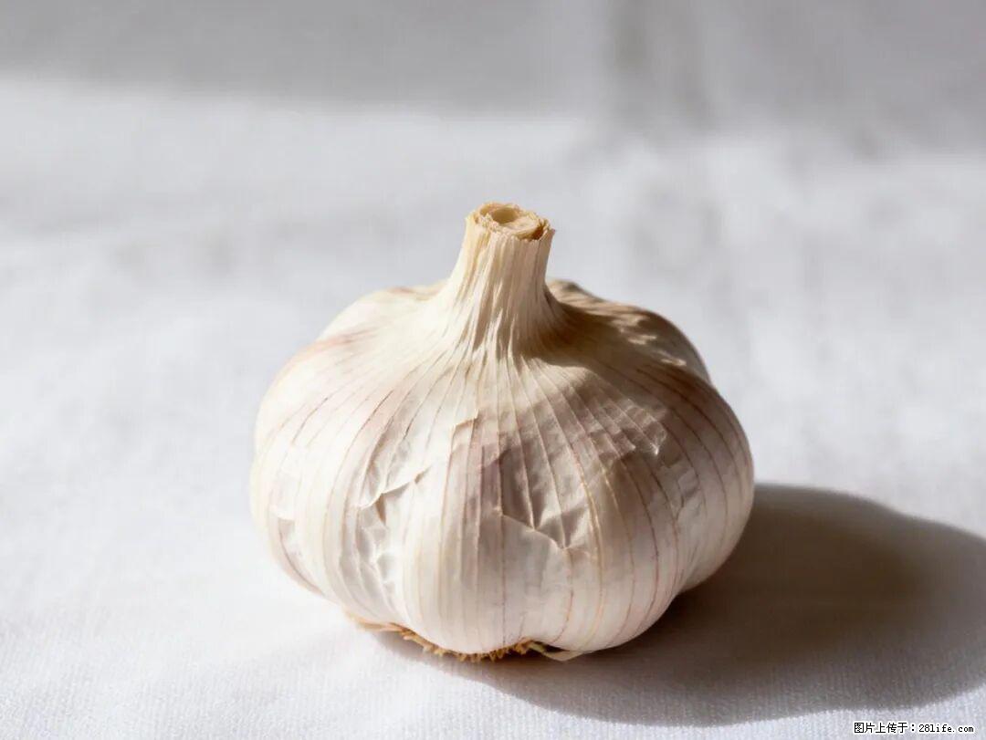 关于大蒜，除了“天然抗生素”，这4个谣言更该警惕! - 酒泉生活资讯 - 酒泉28生活网 jq.28life.com