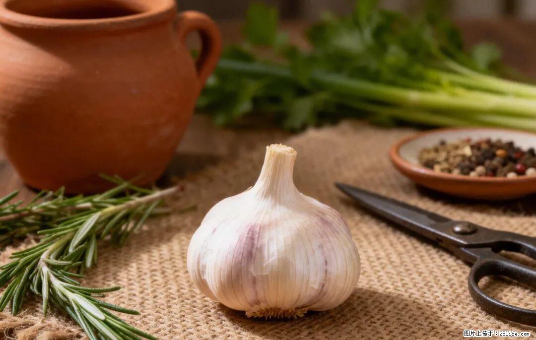 关于大蒜，除了“天然抗生素”，这4个谣言更该警惕! - 酒泉生活资讯 - 酒泉28生活网 jq.28life.com