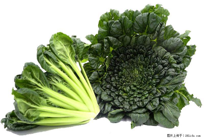 这些蔬菜是“天然钙片”，这6种被医生重点推荐 - 酒泉生活资讯 - 酒泉28生活网 jq.28life.com