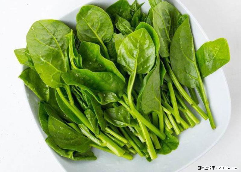 这些蔬菜是“天然钙片”，这6种被医生重点推荐 - 酒泉生活资讯 - 酒泉28生活网 jq.28life.com