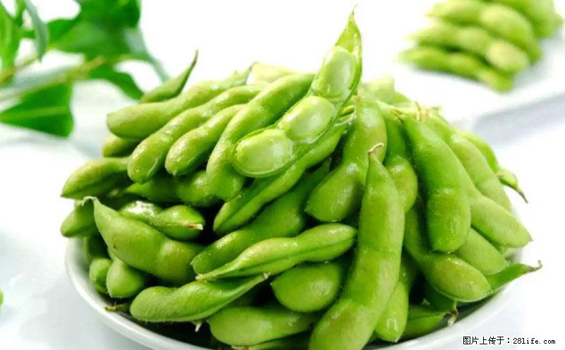 这些蔬菜是“天然钙片”，这6种被医生重点推荐 - 酒泉生活资讯 - 酒泉28生活网 jq.28life.com