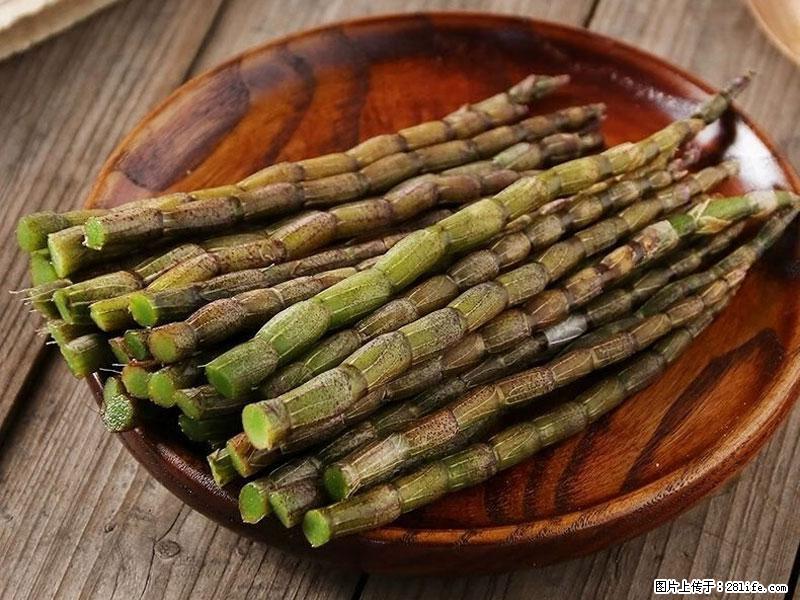 铁皮石斛的作用与功能主治 - 酒泉生活资讯 - 酒泉28生活网 jq.28life.com