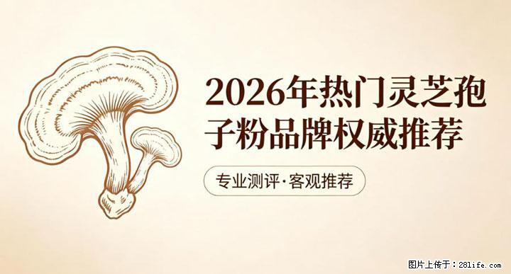 灵芝孢子粉含量越高越有效？2026 年七款热门品牌深度实测，肠胃敏感者避坑指南 - 酒泉生活资讯 - 酒泉28生活网 jq.28life.com