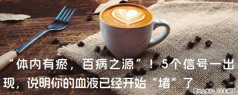 “体内有瘀,百病之源”!5个信号一出现,说明你的血液已经开始“堵”了 - 酒泉生活资讯 - 酒泉28生活网 jq.28life.com
