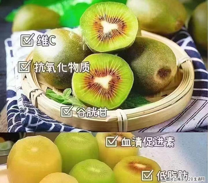 广西桂林平乐桥亭【红心猕猴桃】、【大秋甜柿】上市啦,欢迎各位新老客户下单(另有少量小果出售) - 酒泉生活资讯 - 酒泉28生活网 jq.28life.com