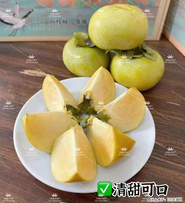 广西桂林平乐桥亭【红心猕猴桃】、【大秋甜柿】上市啦,欢迎各位新老客户下单(另有少量小果出售) - 酒泉生活资讯 - 酒泉28生活网 jq.28life.com
