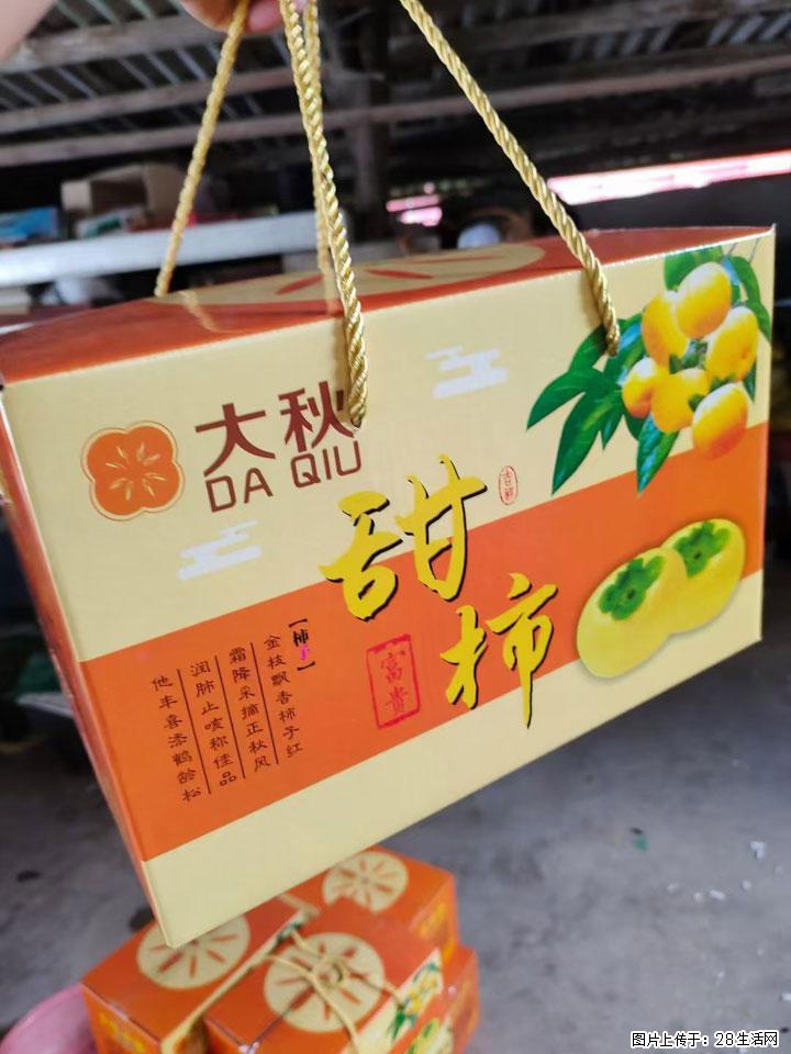 广西桂林平乐桥亭【红心猕猴桃】、【大秋甜柿】上市啦,欢迎各位新老客户下单(另有少量小果出售) - 酒泉生活资讯 - 酒泉28生活网 jq.28life.com